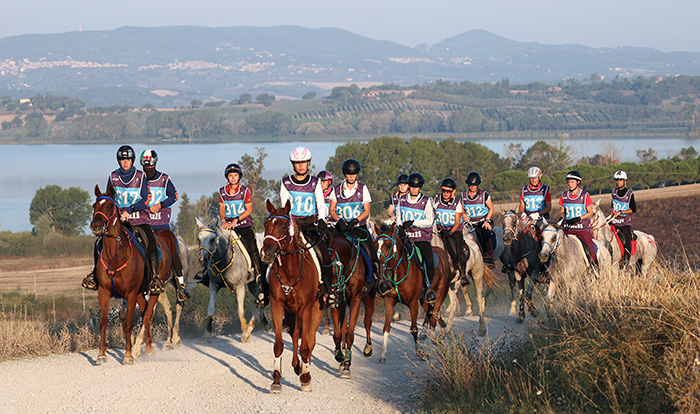 Zigulì FEI Endurance European Championship 2025: attivato il conto alla rovescia. 4 1D8A51171