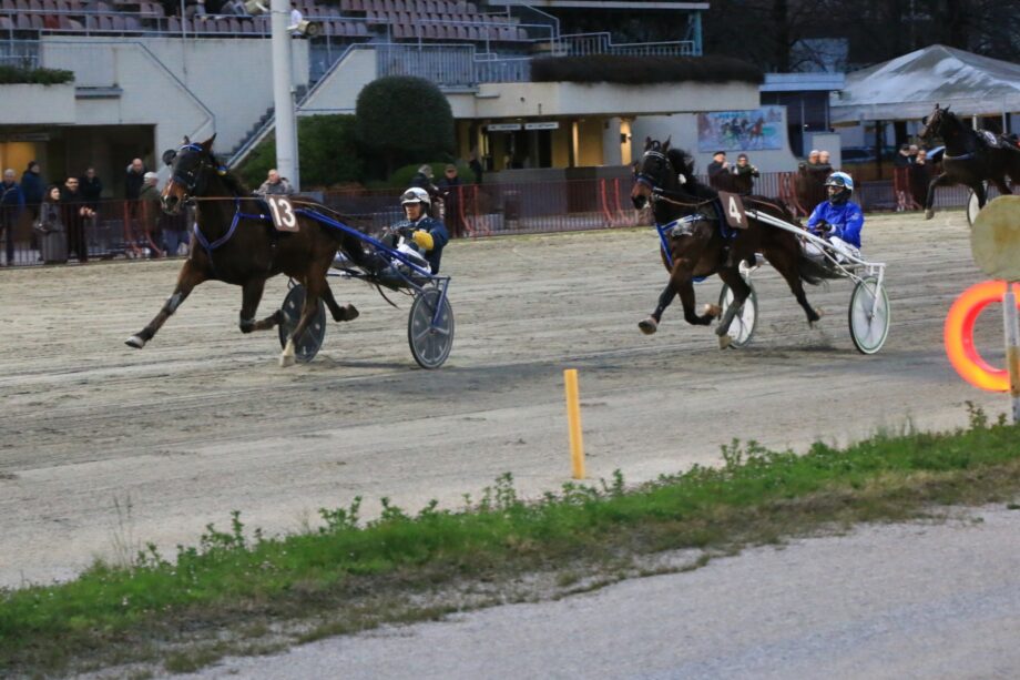 Ippodromo Arcoveggio Bologna Domenico 23 marzo 2025 “2° Memorial Afro Garavini”. 3 23 03 2025 arrivo memorial garavini