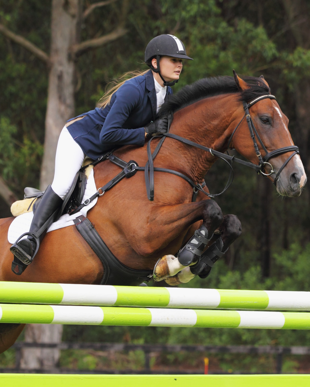 L'alimentazione del cavallo da salto ostacoli: energia, gestione e integrazione 2 4