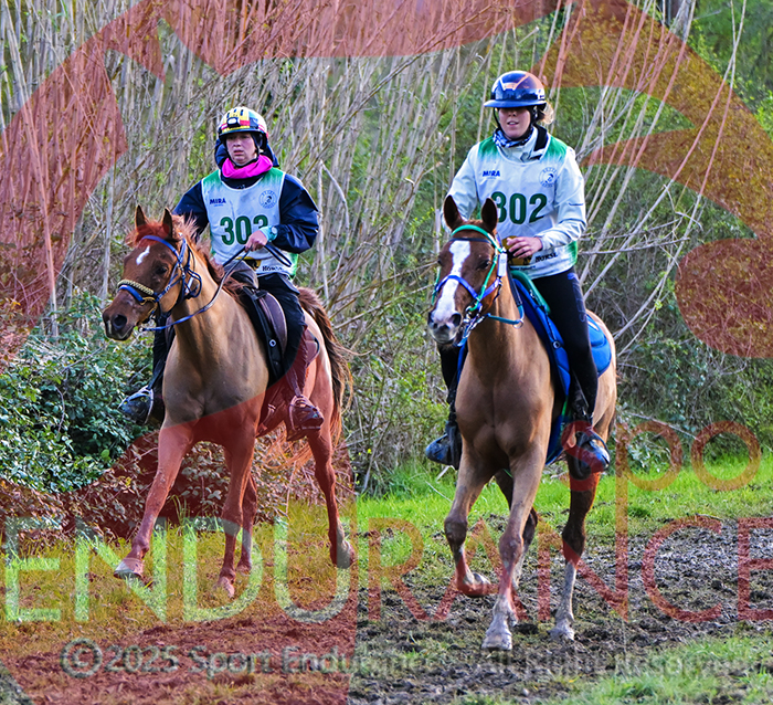 Endurance, VII Raid Città della Pieve. 1 VII Raid Città della Pieve.