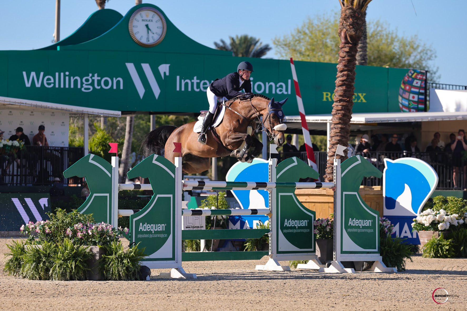 Darragh Kenny domina al Winter Equestrian Festival con Zero K 1 Darragh Kenny su Zero K
