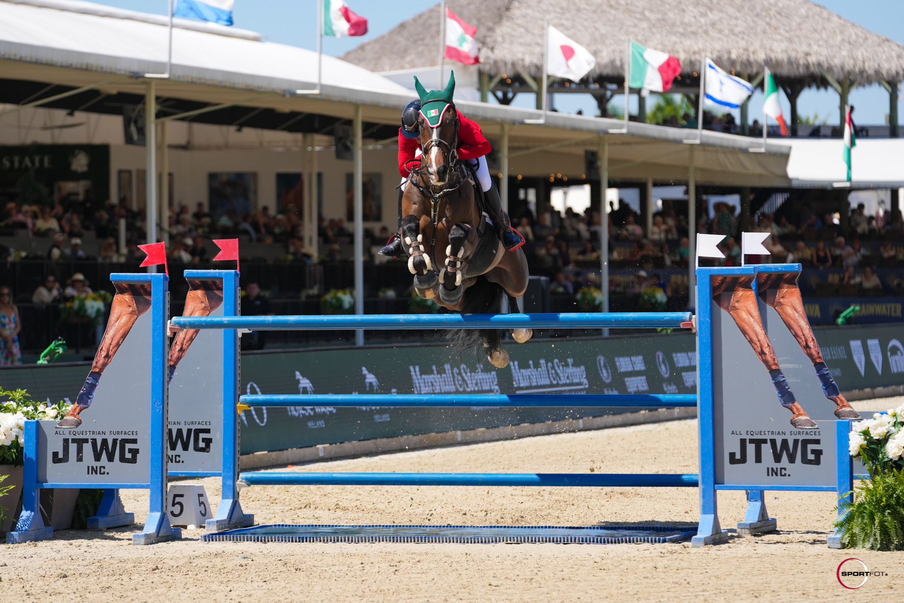Arturo Parada Vallejo trionfa nel Gran Premio CSIO4* a Wellington 1 IMG 6583