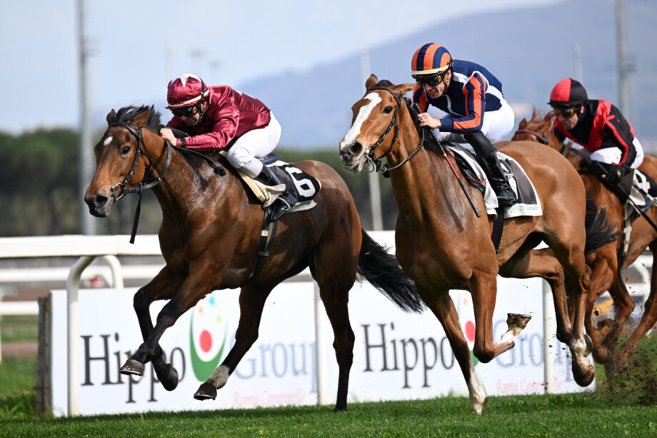 Max Allegri protagonista nella domenica al galoppo all’Ippodromo Capannelle. 2 La cavalla di Allegri Sun Never Sets montata da Mario Sanna in rigorosa giubba amaranto