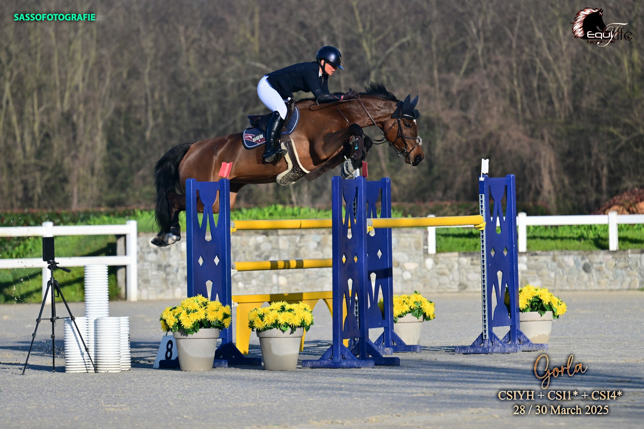 Elisabeth Meyer vince il CSI1* Grand Prix presented by Distinto all'Equieffe Gorla Minore 1 Elisabeth MEYER _31_Sunday - Sun CSI1 H140 against the clock with 1 jump off_2BI_0097