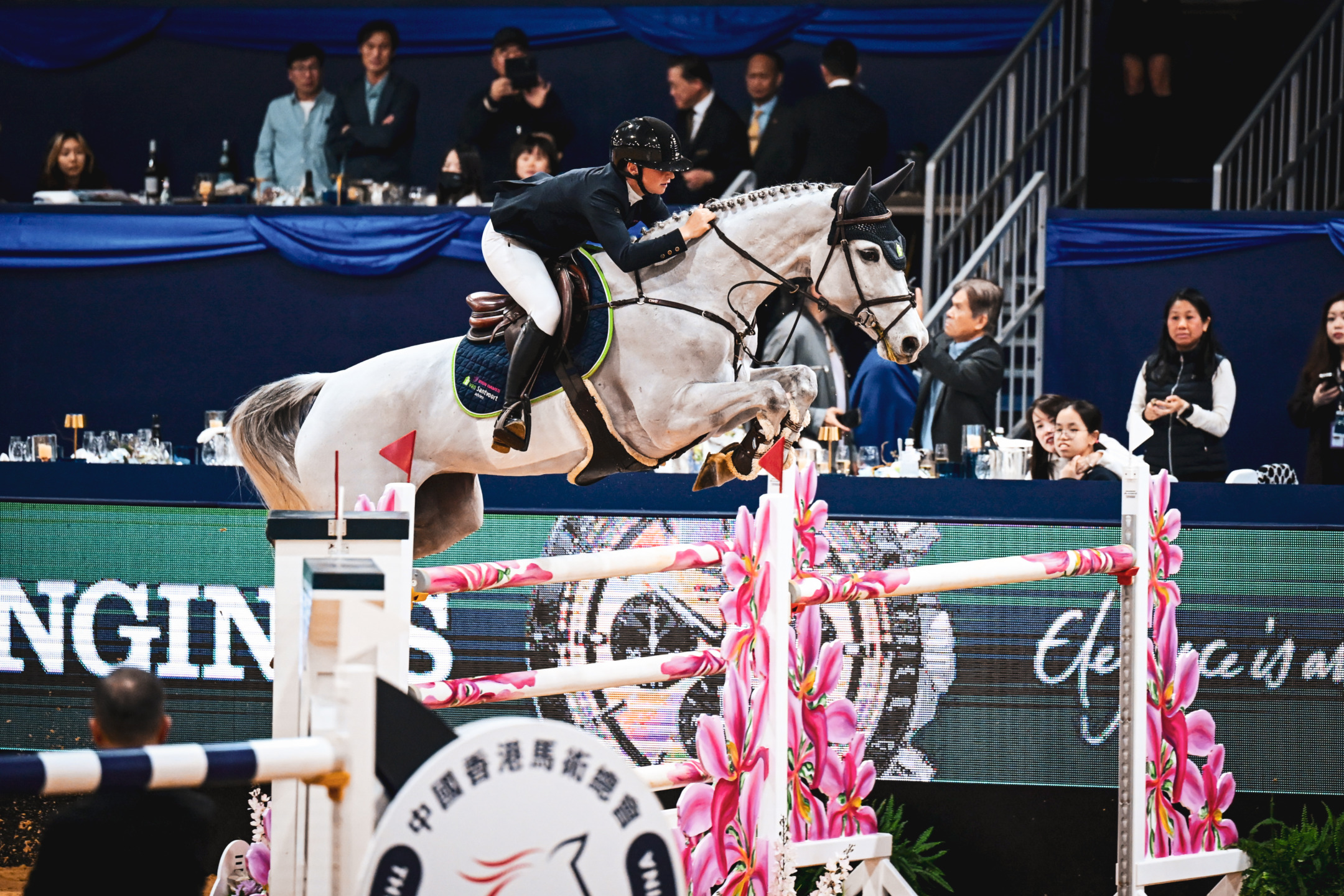 Galloping to Greatness: Sanne Thijssen’s Journey from Pony Rides to Podium Finishes 3 MFZ0056 1 1