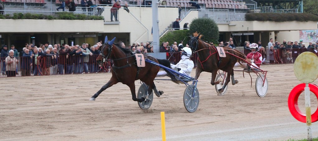 Ippodromo di Bologna: Domenica 30 marzo il Gran Premio Italia, alcuni tra i migliori tre anni e tante attività collaterali 1 arrivo flash np pisacane rit