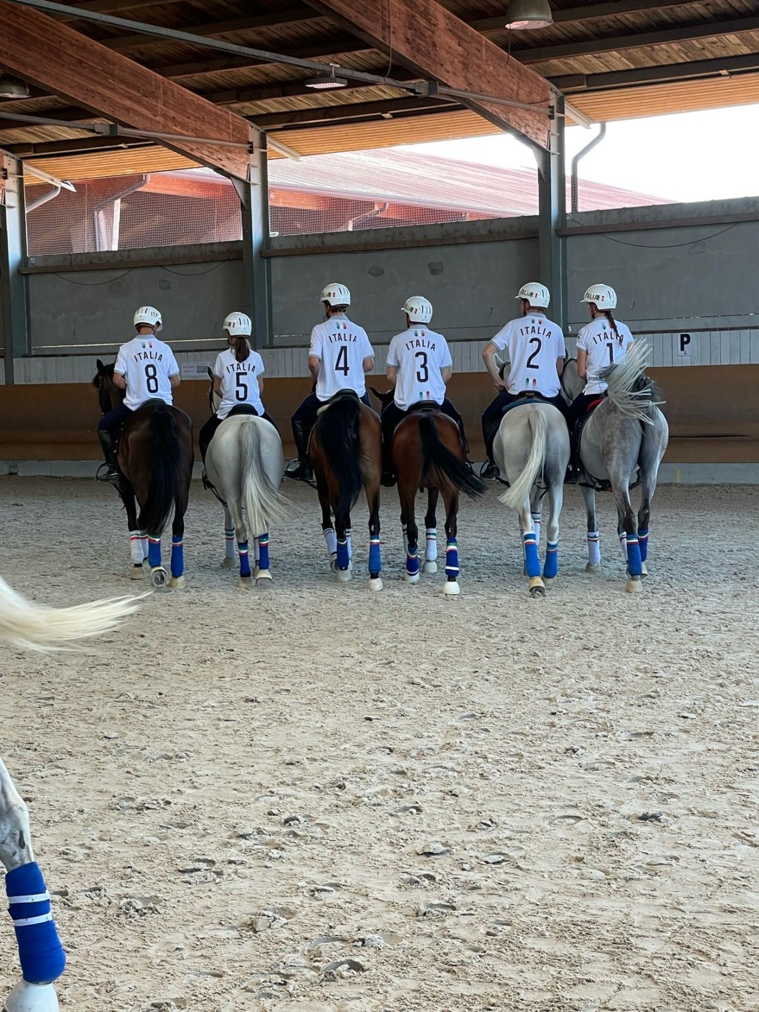 Il Centro Ippico Le Ginestre ospita il Campionato Italiano Horseball Senior Misto 2025 7 94c46ce7 5195 48da 9820 9236ca31d8ac
