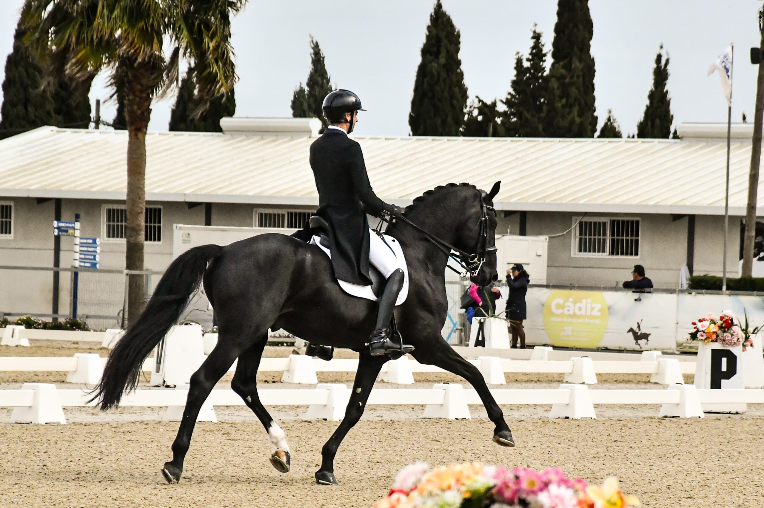 Alejandro Asencio: The Grace, Grit, and Growth of Spain’s Dressage Powerhouse 2 Alejandro Asencio 1 scaled
