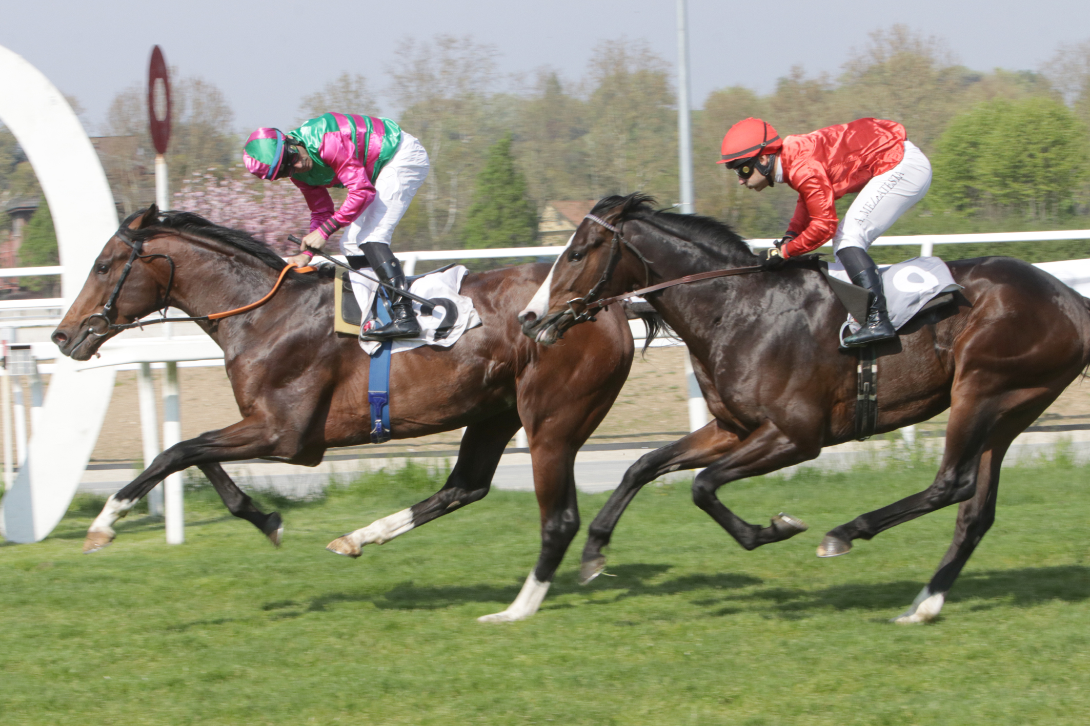 San Siro PREMIO GERALD MURNANE