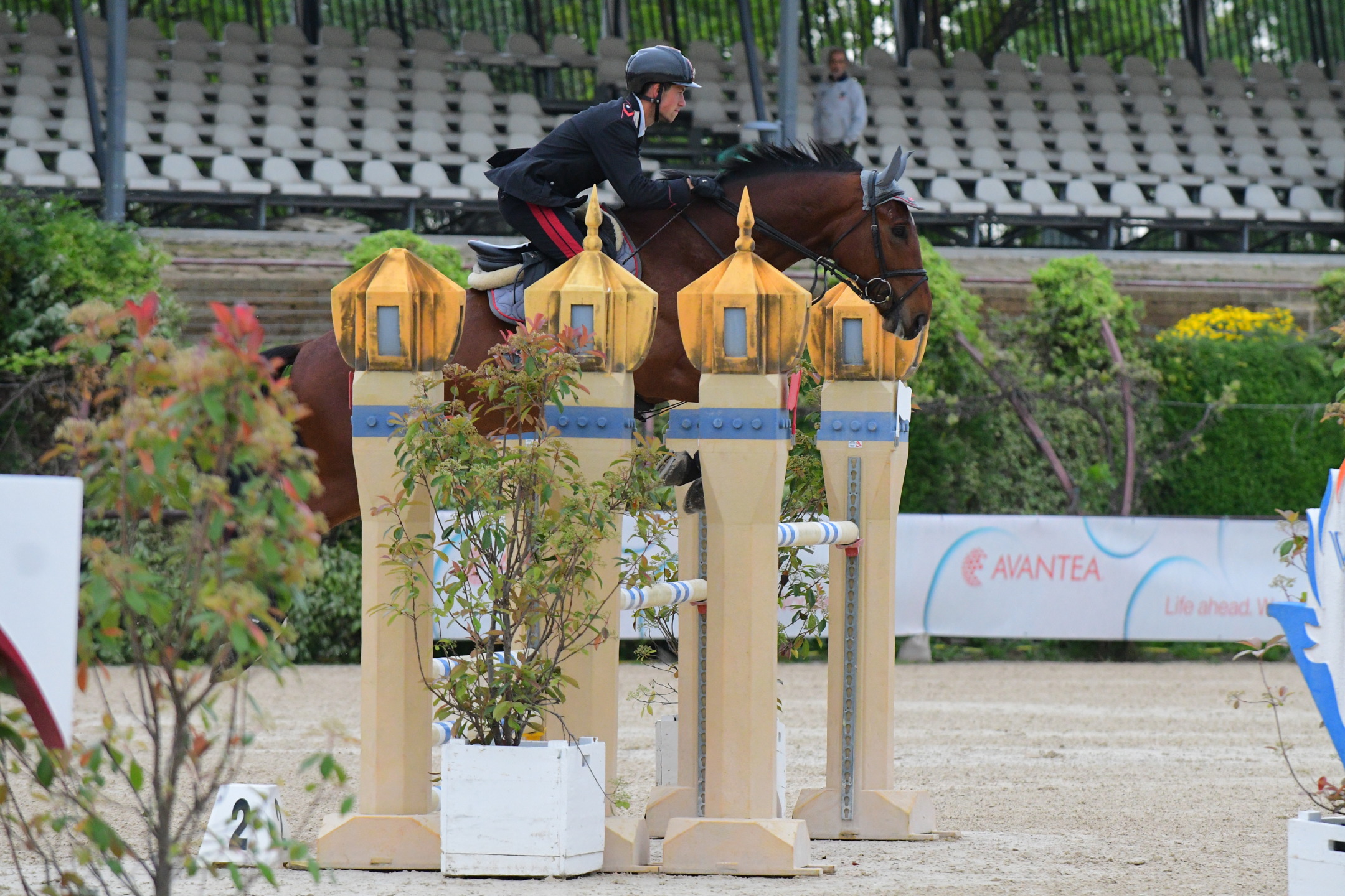 Il gran finale della prima tappa del Circuito Giovani Cavalli FISE Avantea 5 DDM 5844