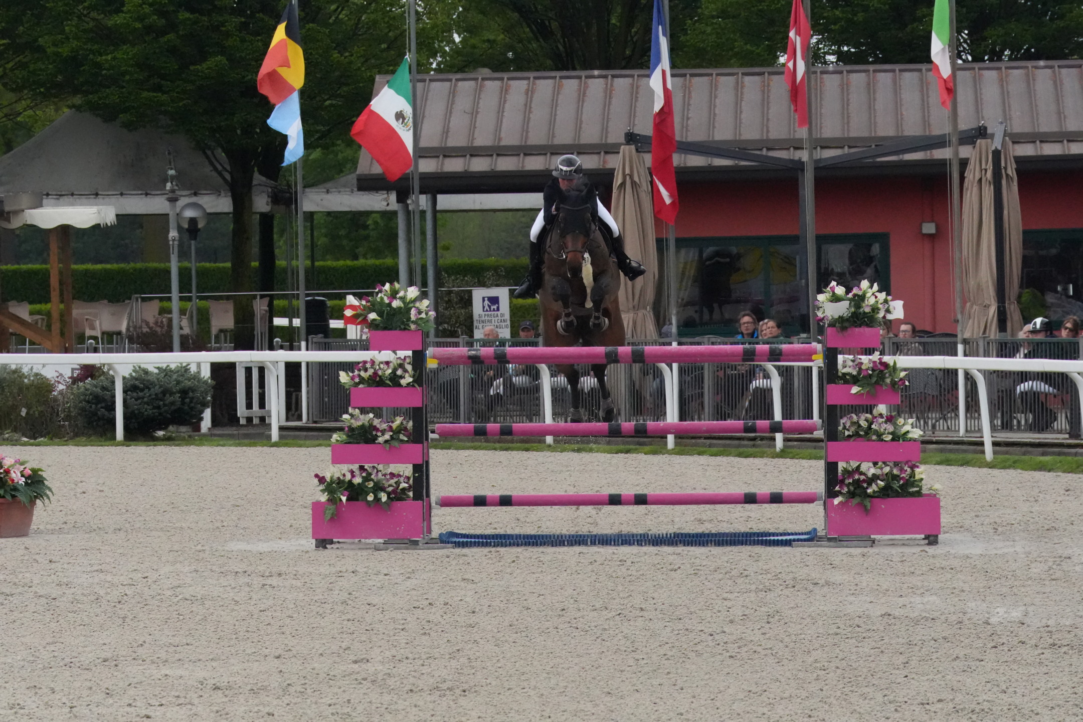 Sguardi in Sella: il CSI2* Grand Prix di Busto Arsizio 11 DSC03941