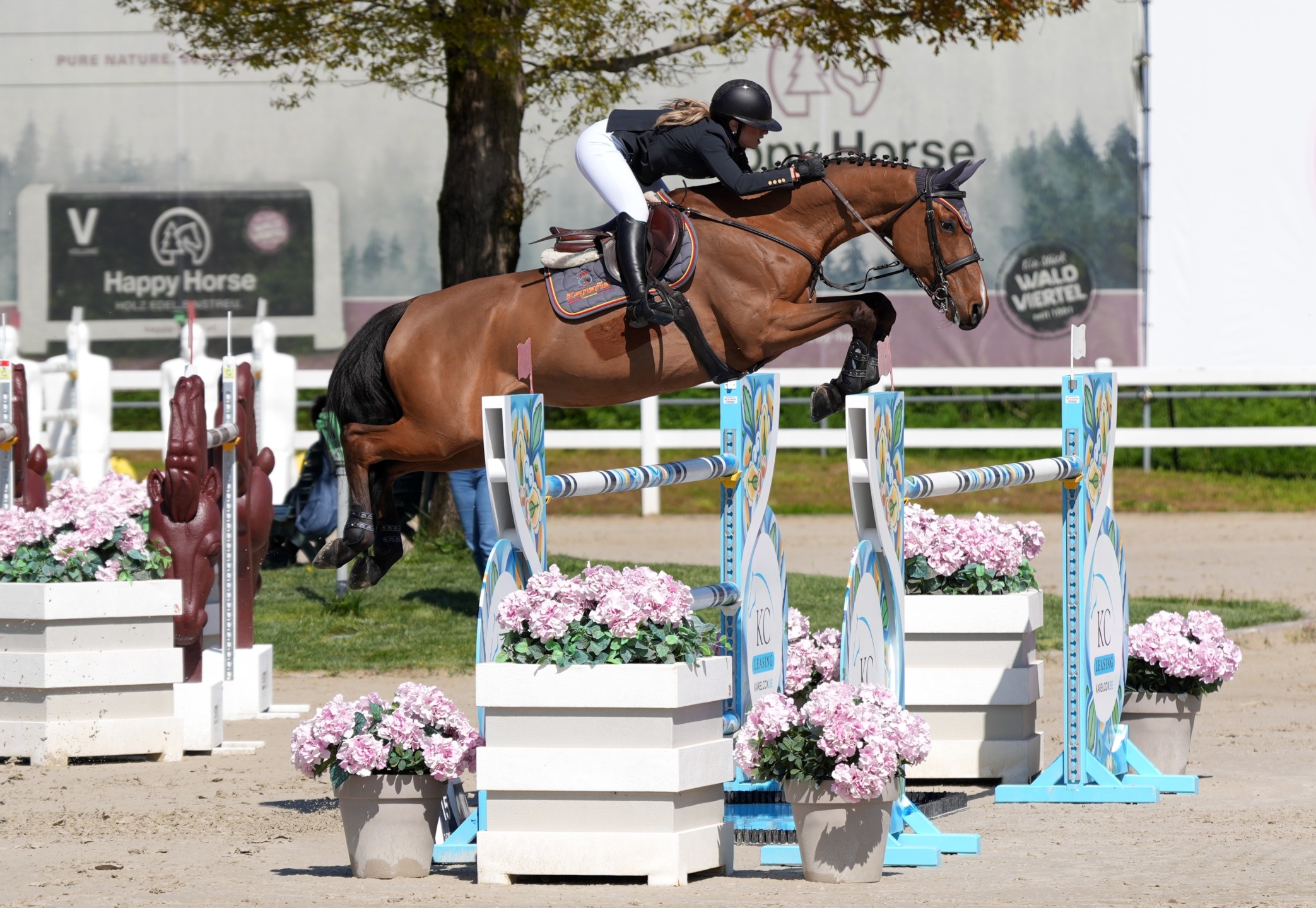 L’atleta spagnola Carolina Villanueva Suarez in sella ad Emotion De L’exstase durante la CSI3* H150 di sabato.