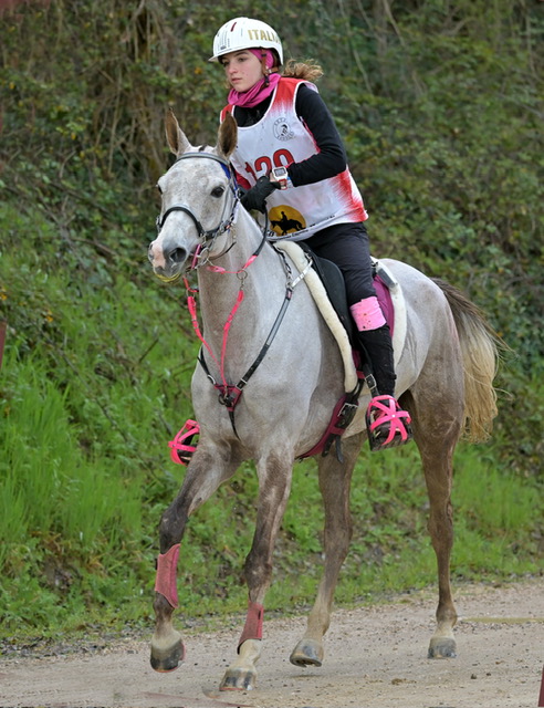 La Young Rider Giorgia Paganini fa la voce grossa a Citta' Della Pieve 2 DSC 3003