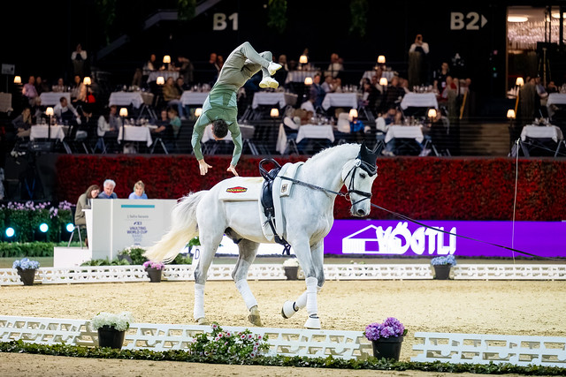 FEI Vaulting World Cup 2025, italiani subito in evidenza 3 FAI Vaulting World Cup Zanella