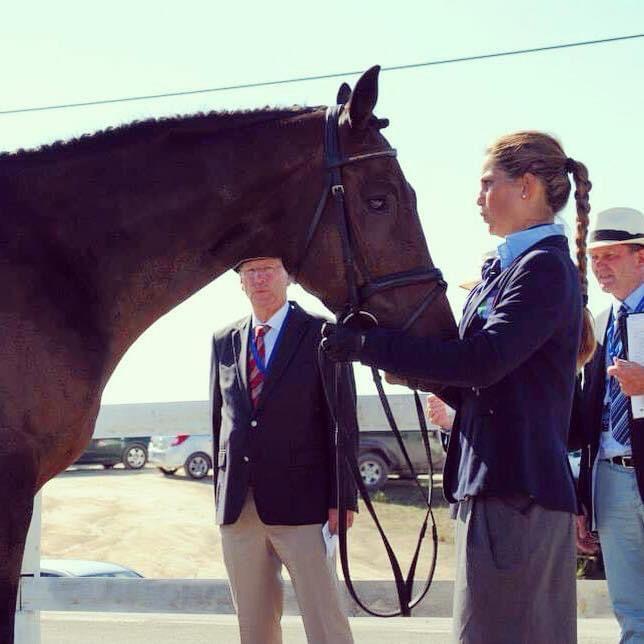 Maria Olimpia Bolaffio la riabilitazione grazie alla terapia assistita con il cavallo 1 Olimpia Maria Bolaffio