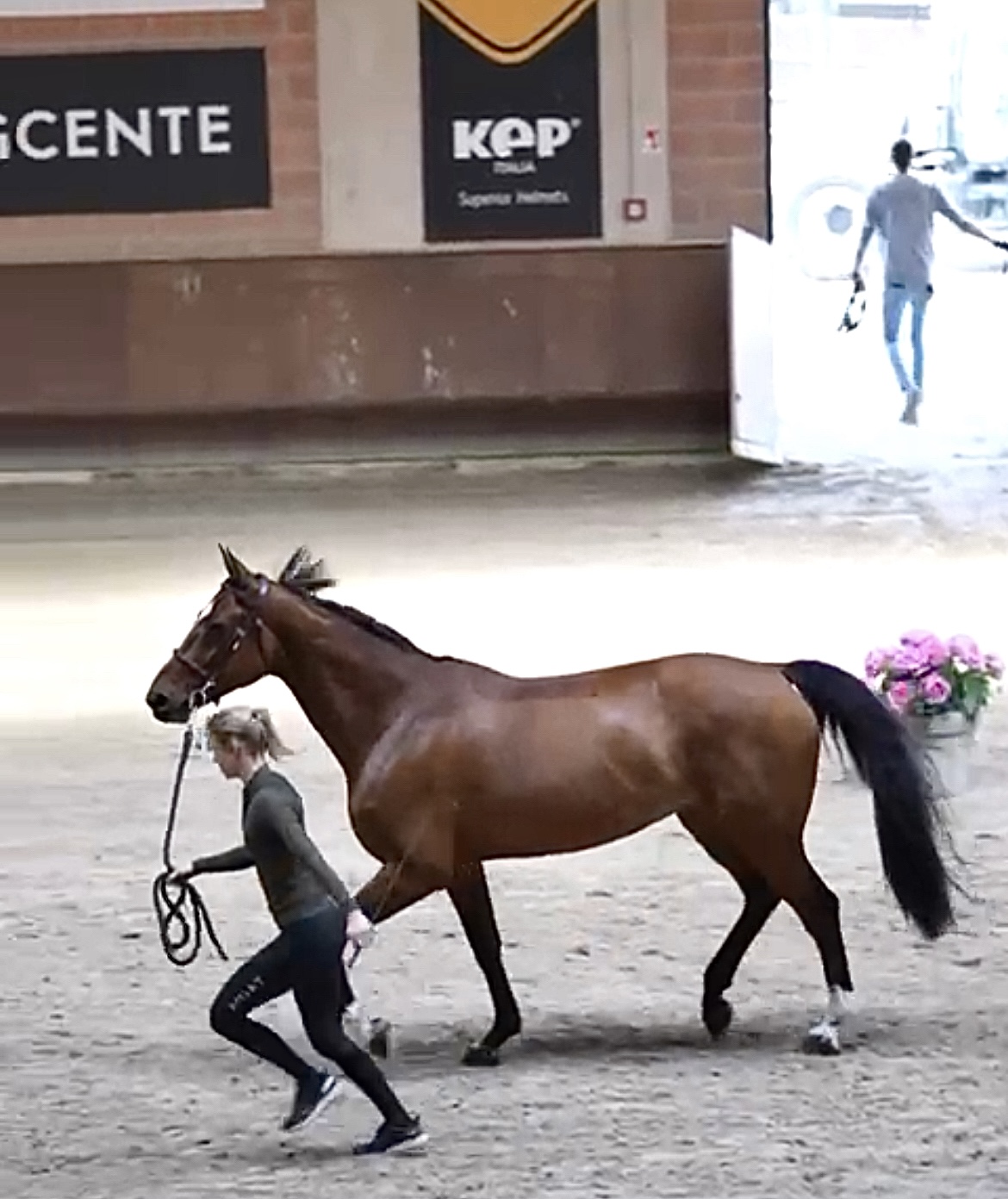 Garantire il benessere del cavallo: il ruolo dei Veterinari Ufficiali FEI in concorso 1 IMG 8221