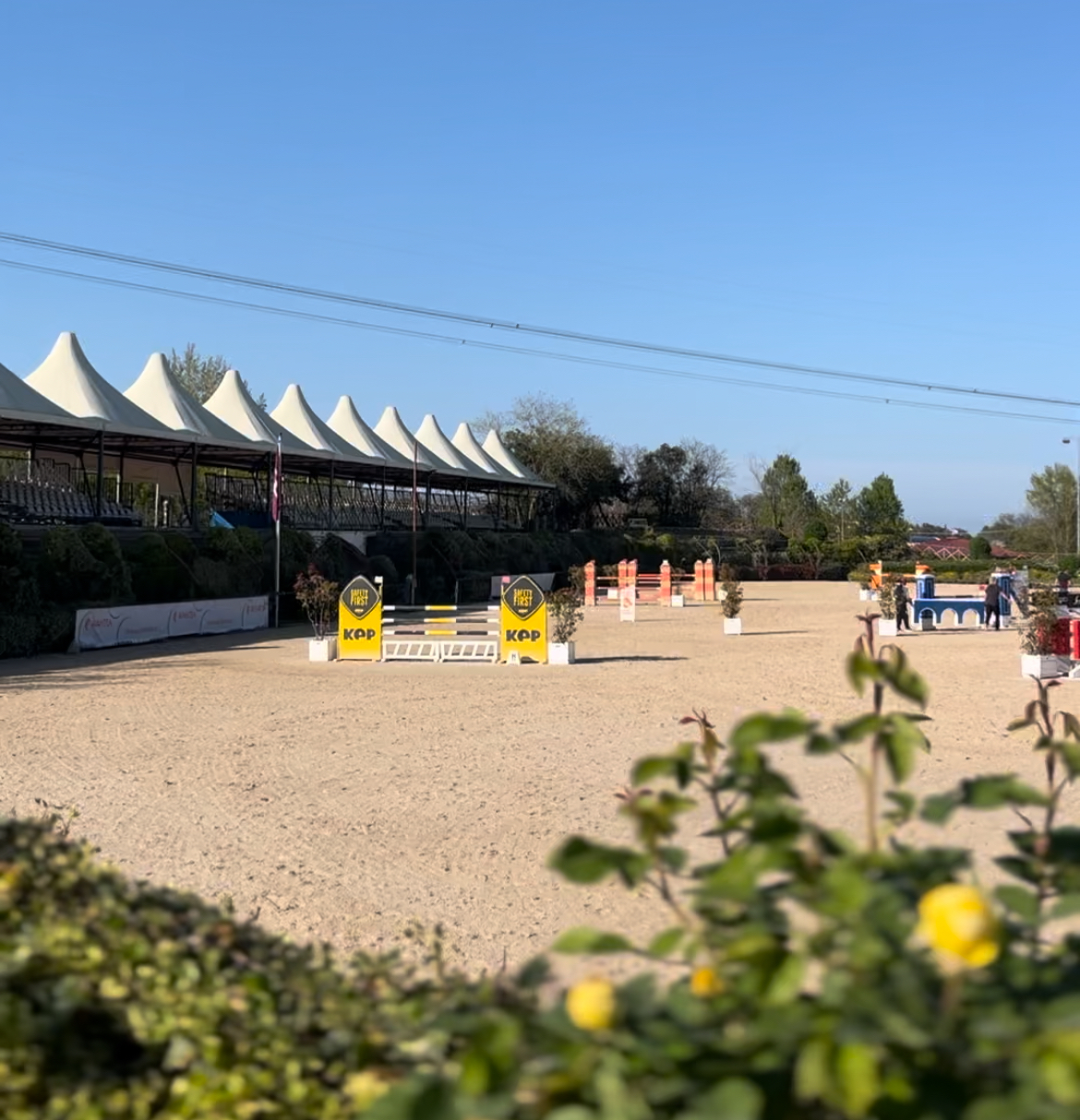 Inizia oggi la 1a tappa del Circuito FISE Giovani Cavalli 2025 all’Horses Riviera Resort 1 IMG 8310