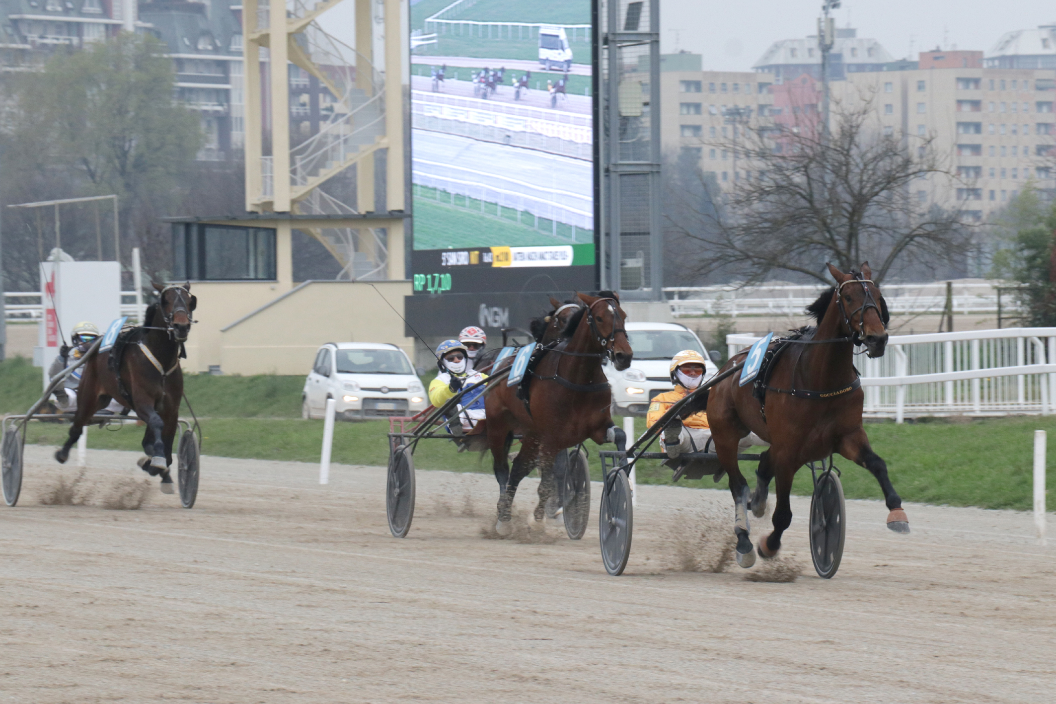 Ippodromo Snai San Siro di Milano: fine settimana con lo spettacolo delle corse 1 IPPODROMO SNAI SAN SIRO arrivo generico