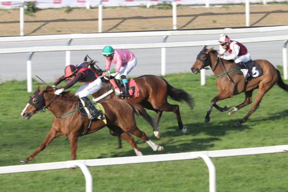 Ippodromo SNAI San Siro PREMIO CANTER 1920