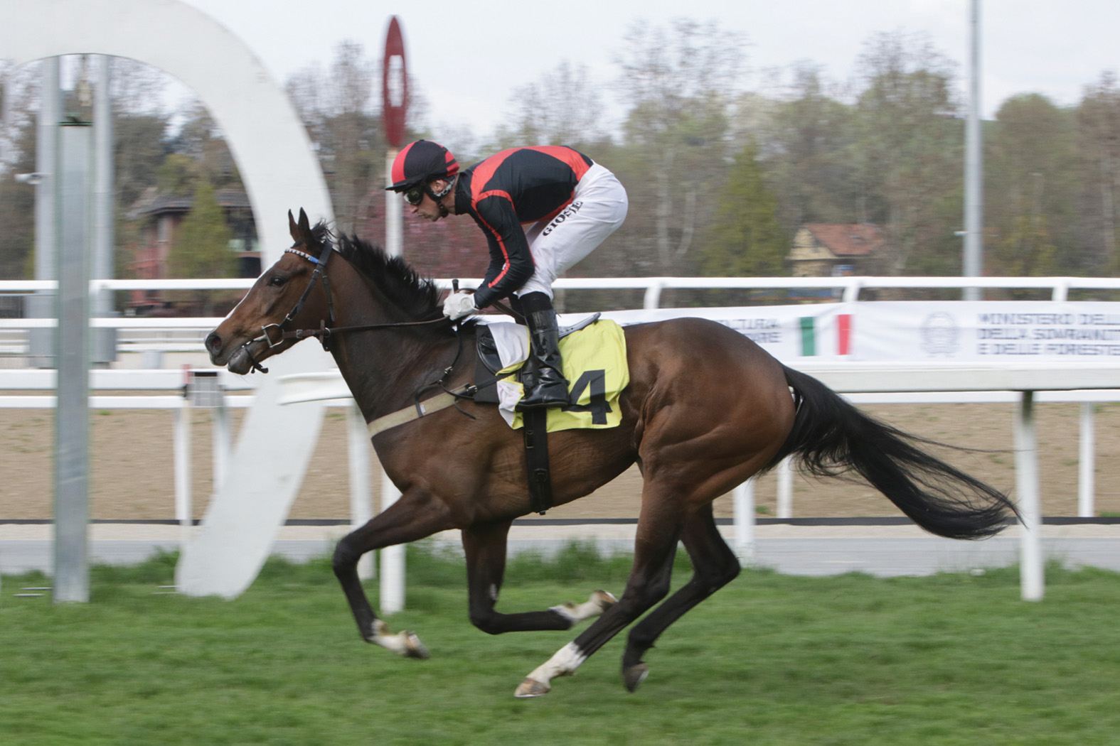 Ippodromo Snai San Siro: Thine Be The Glory a vele spiegate verso le Oaks 1 Ippodromo Snai San Siro PREMIO ALBERTO CHANTRE