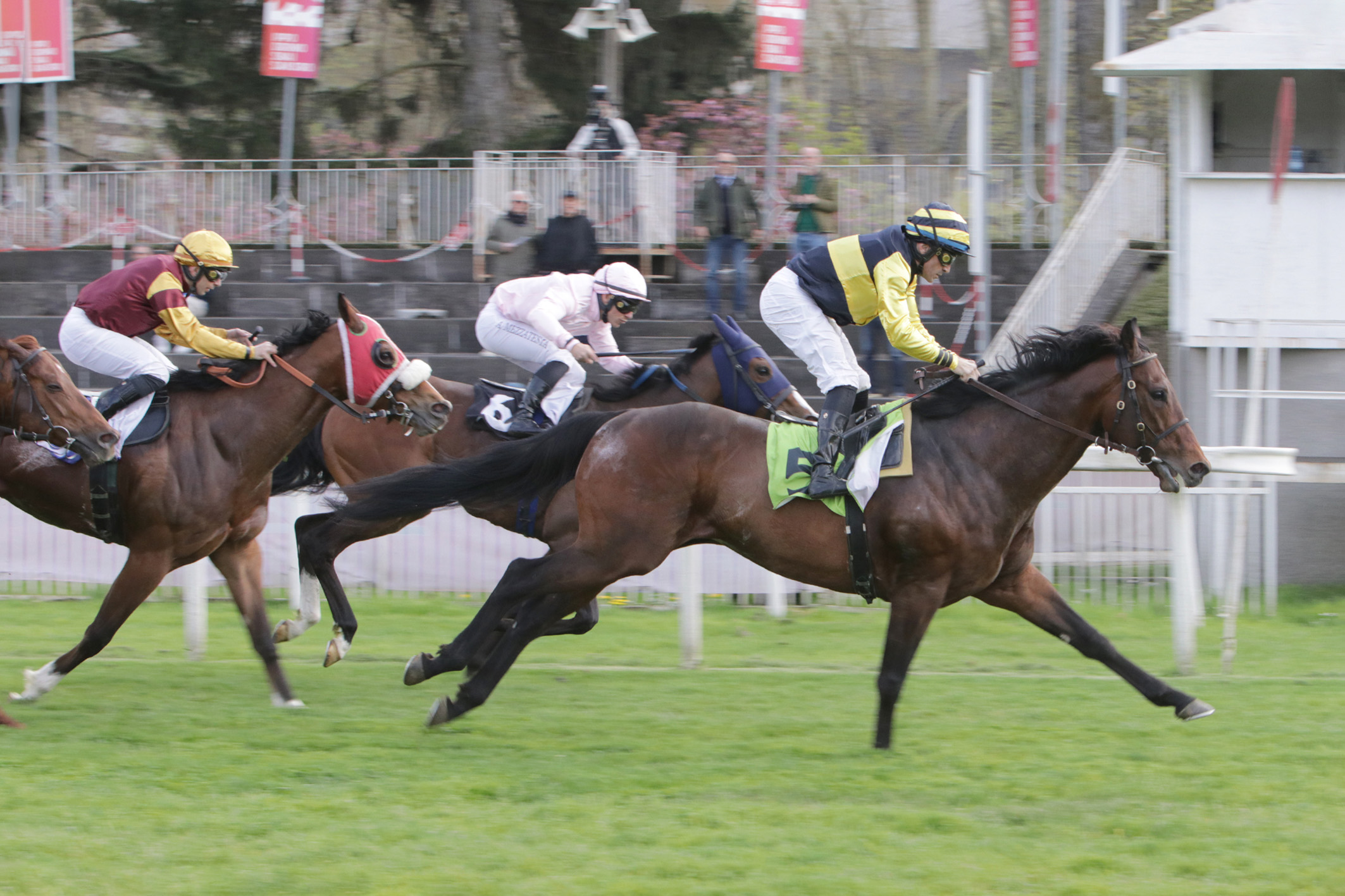 Ippodromo Snai San Siro: Thine Be The Glory a vele spiegate verso le Oaks 2 Ippodromo Snai San Siro PREMIO JIMY'S GREY