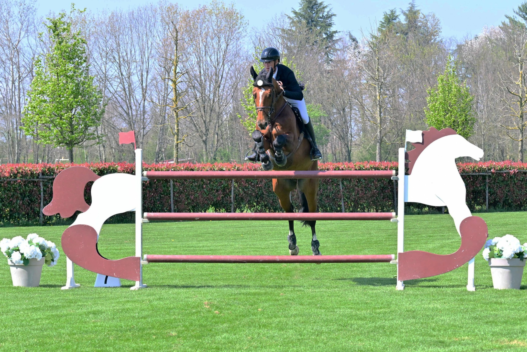 Kevin Jochems CSI4 H145 all'Equieffe Equestrian Centre