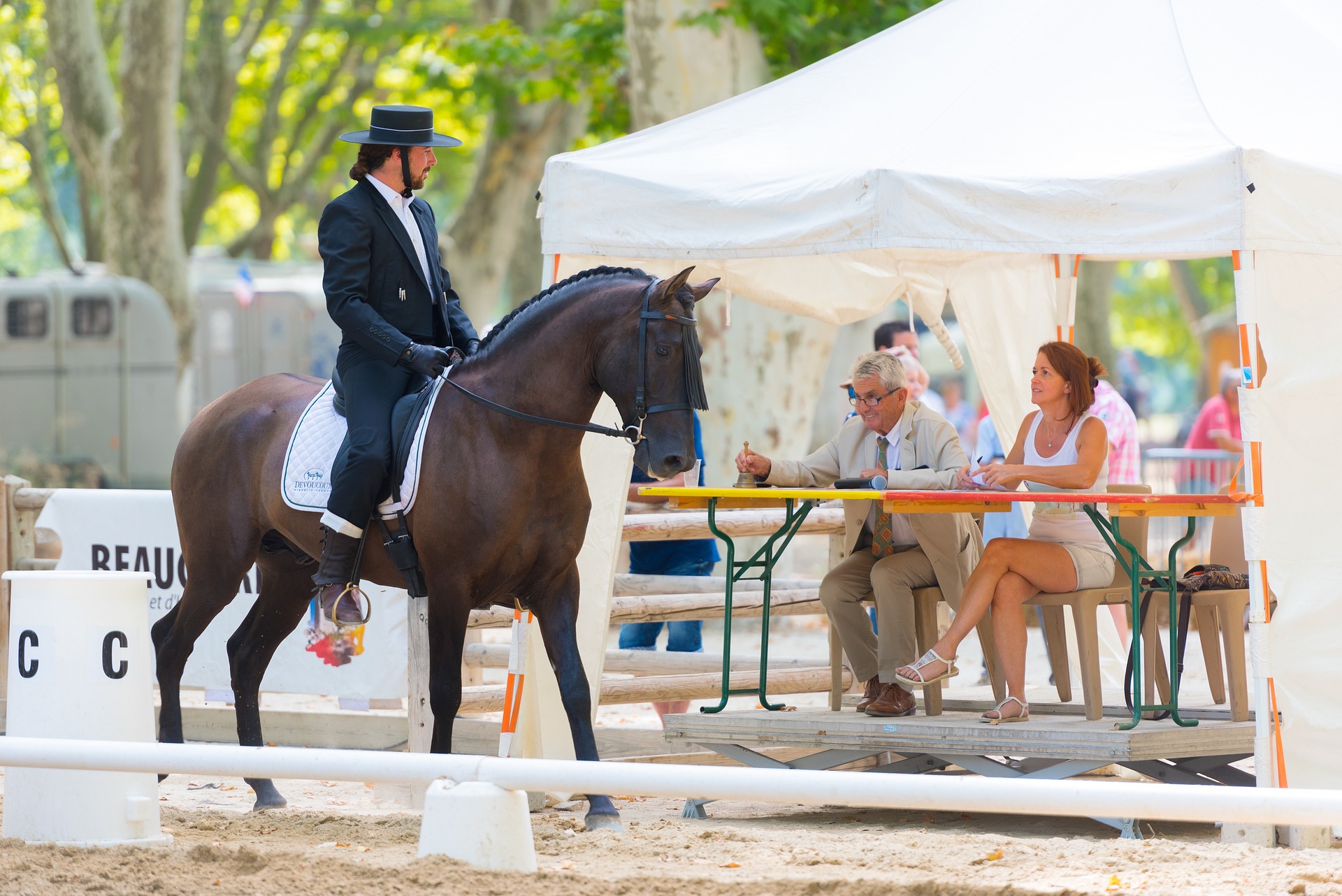La musica, benessere per cavallo e cavaliere 1 Musica benessere animale