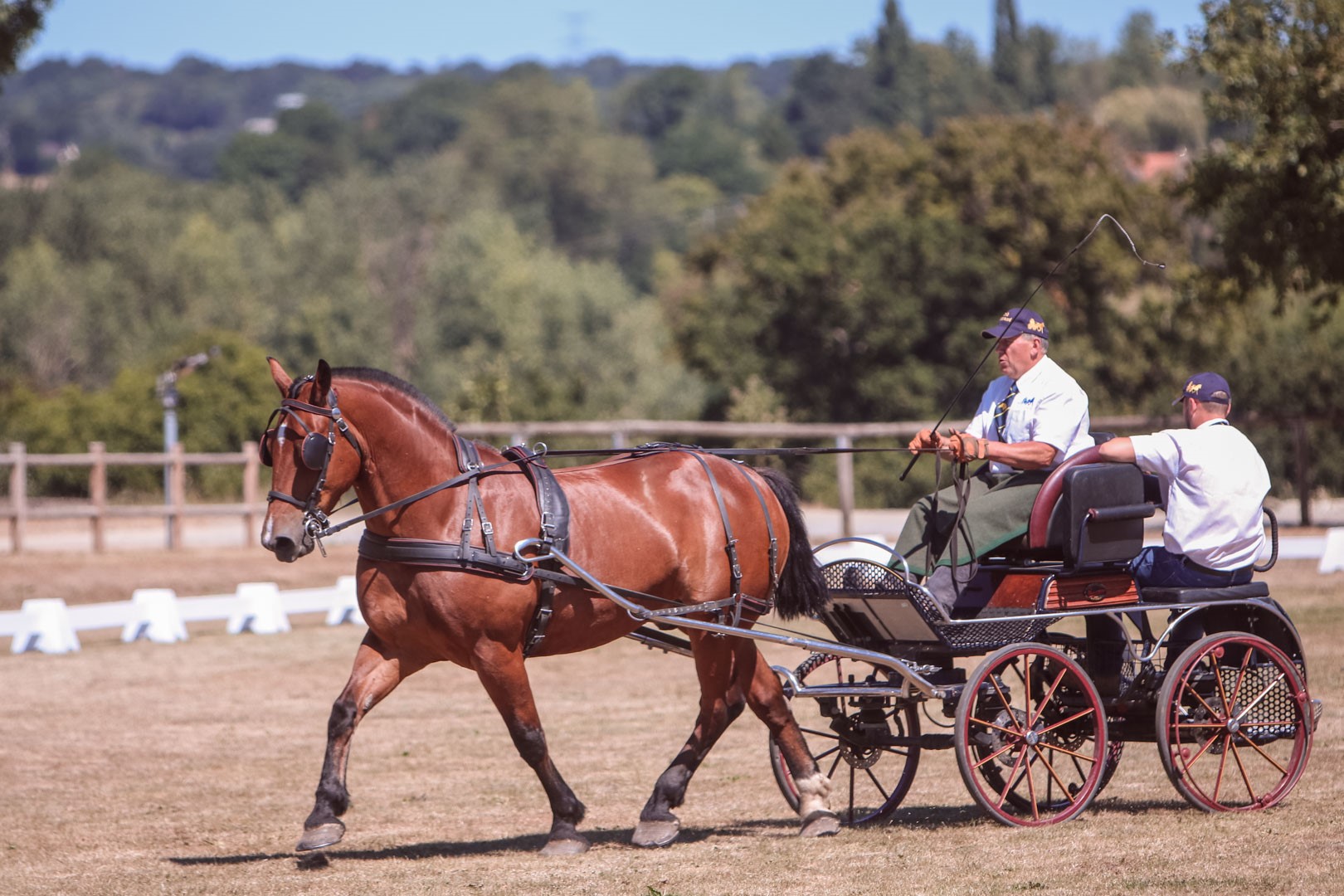 La 36^ edizione del Normandie Horse Show dal 26 luglio al 3 agosto 2025 3 Normandie Horse Show attacchi