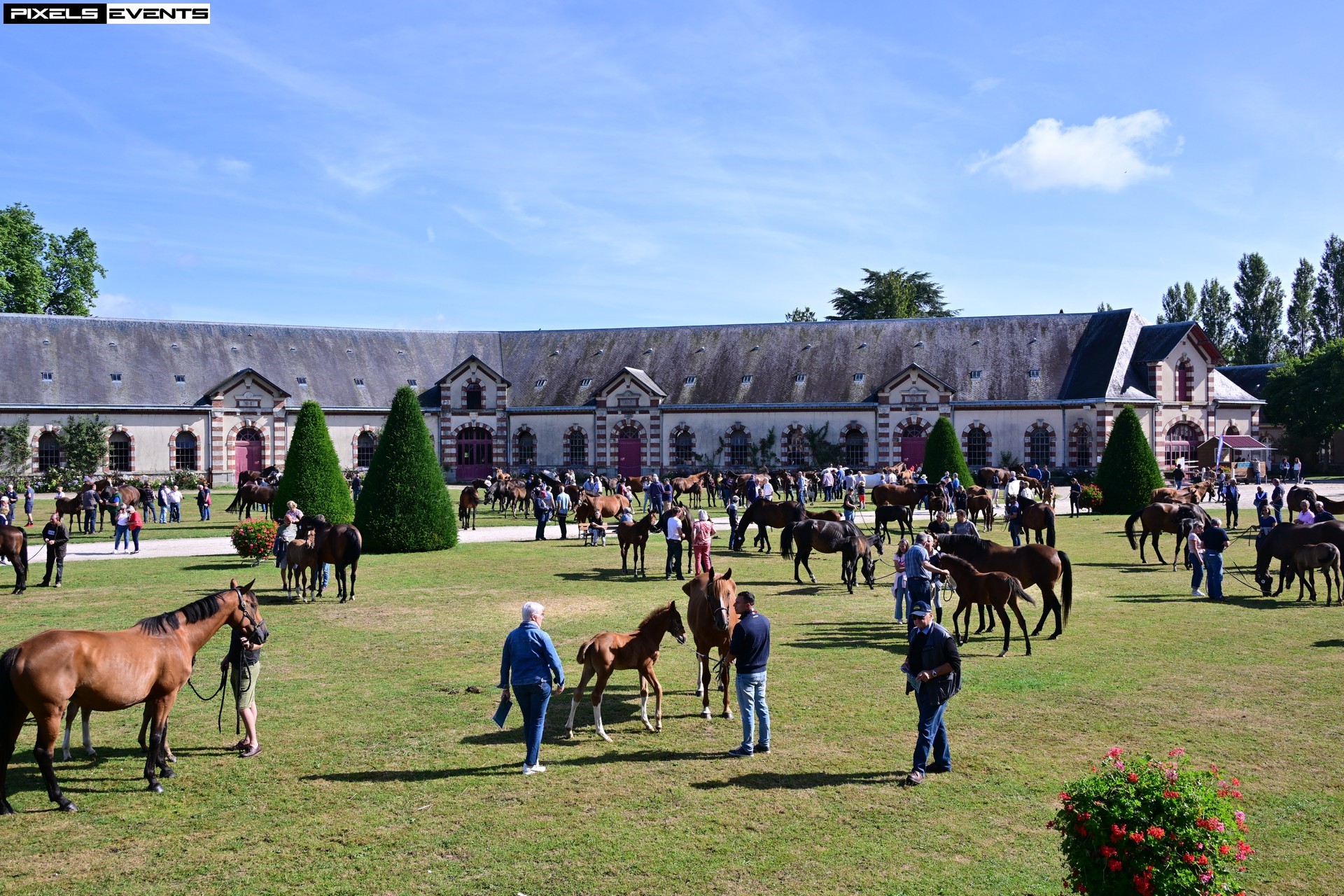 La 36^ edizione del Normandie Horse Show dal 26 luglio al 3 agosto 2025 1 Normandie Horse Show
