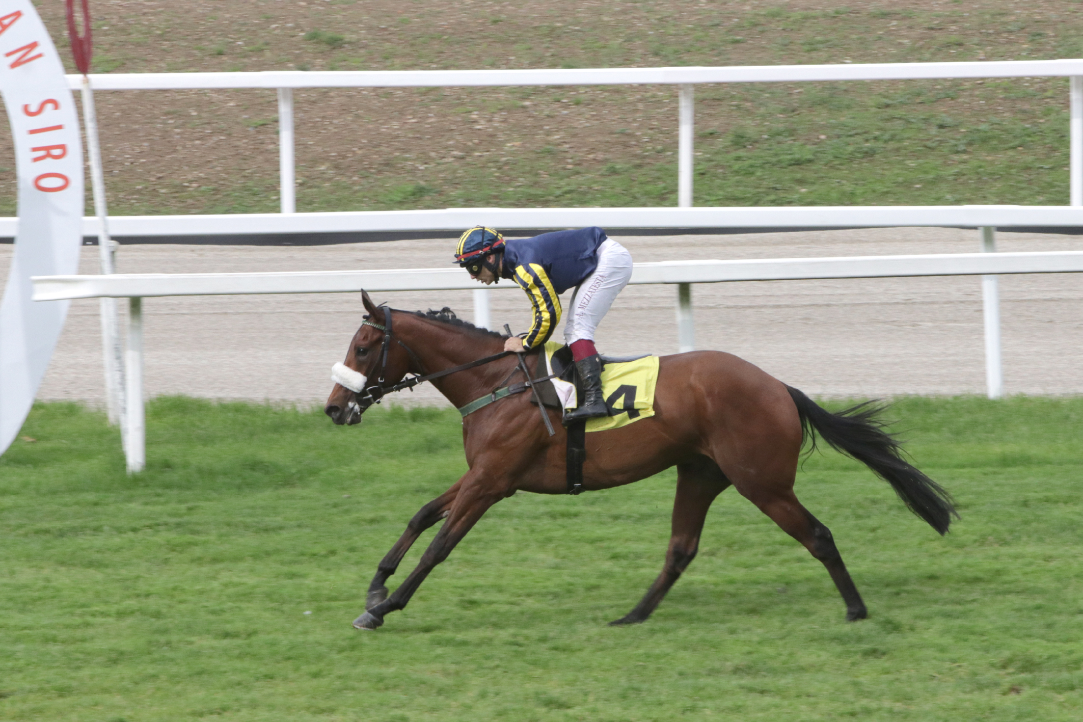 San Siro PREMIO DARIO PELLEGATA