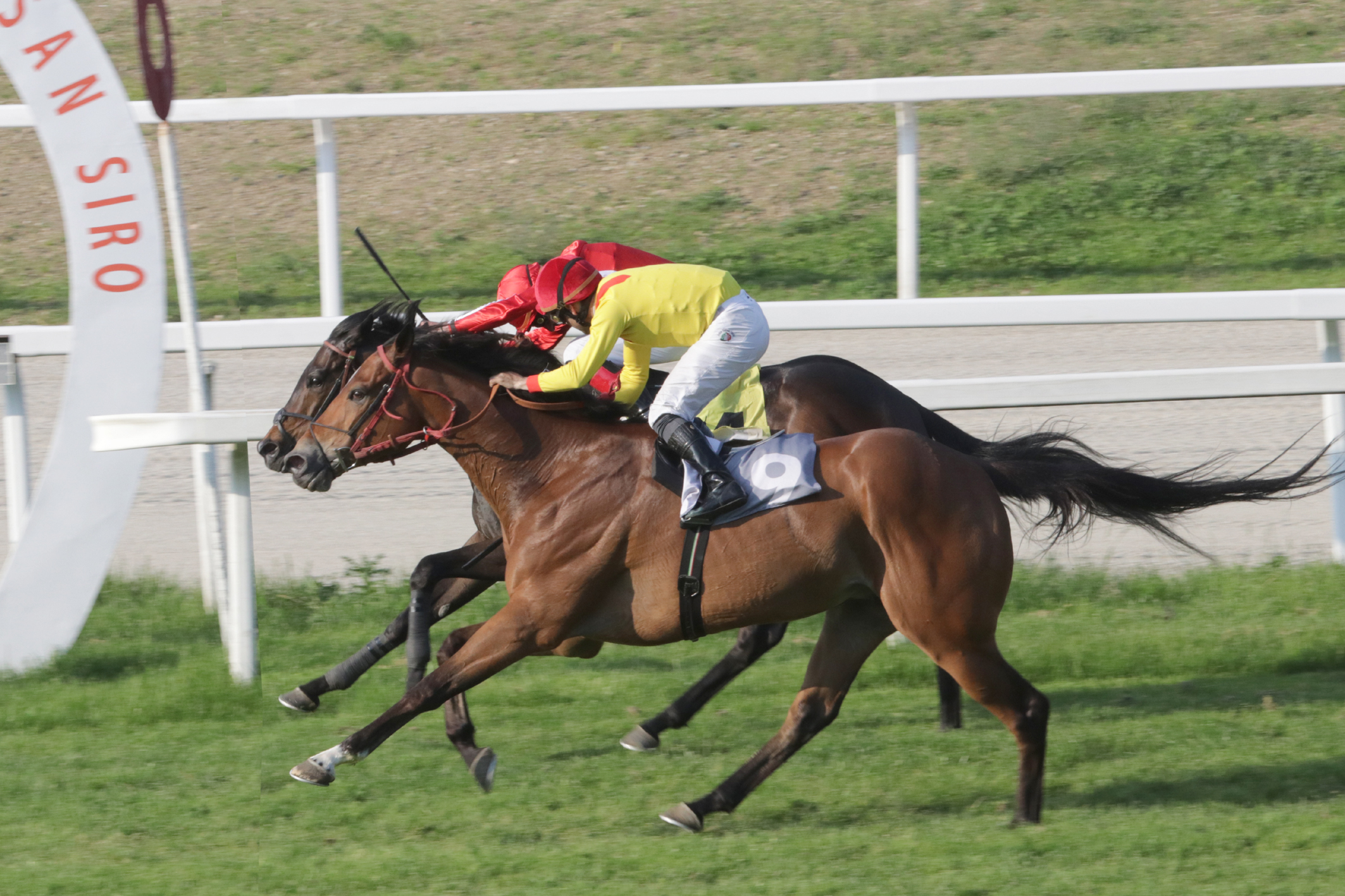 Ippodromo Snai San Siro i risultati del 28 aprile 2 San Siro PREMIO FRANCO VAROLA