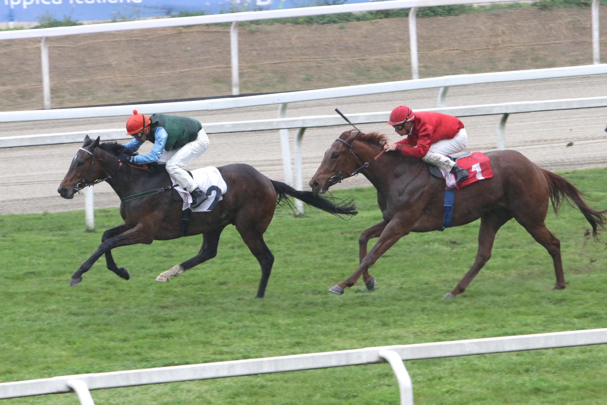 Ippodromo Snai San Siro, i risultati di lunedì 14 2 San Siro PREMIO MASLOGARTH