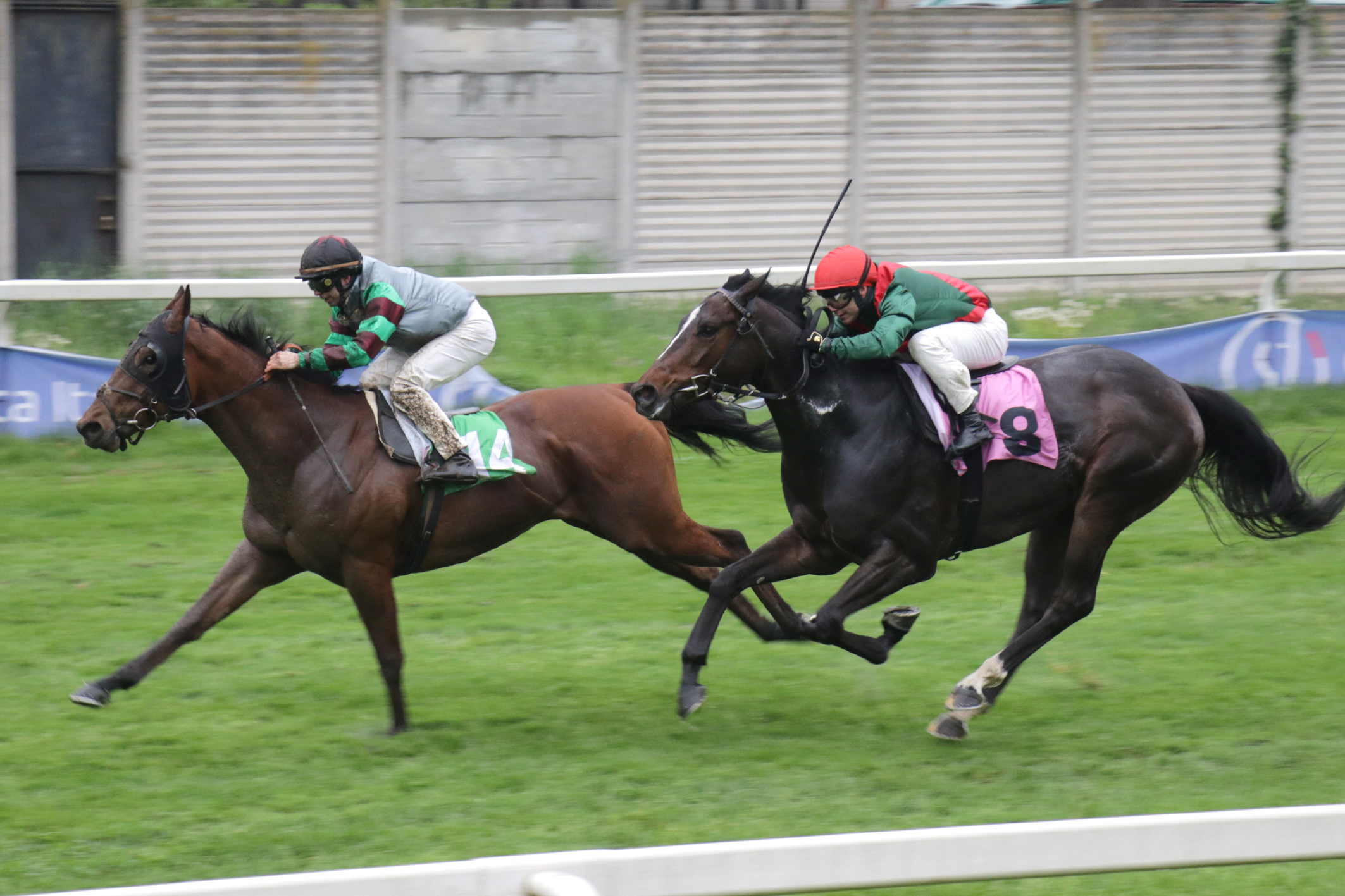 Ippodromo Snai San Siro, i risultati di lunedì 14 3 San Siro PREMIO PO
