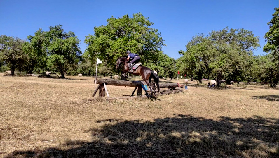 Dressage e Completo: due concorsi nazionali a Tanca Regia l'11 e 12 aprile 1 Tanca Regia salto cross 1