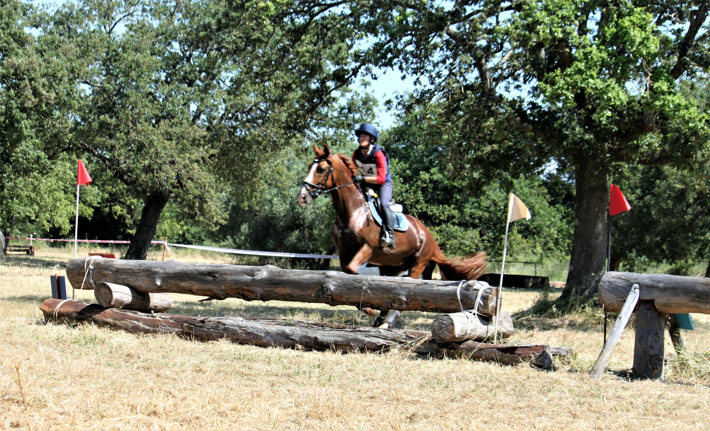 Dressage e Completo: due concorsi nazionali a Tanca Regia l'11 e 12 aprile 3 Tanca Regia salto cross 3