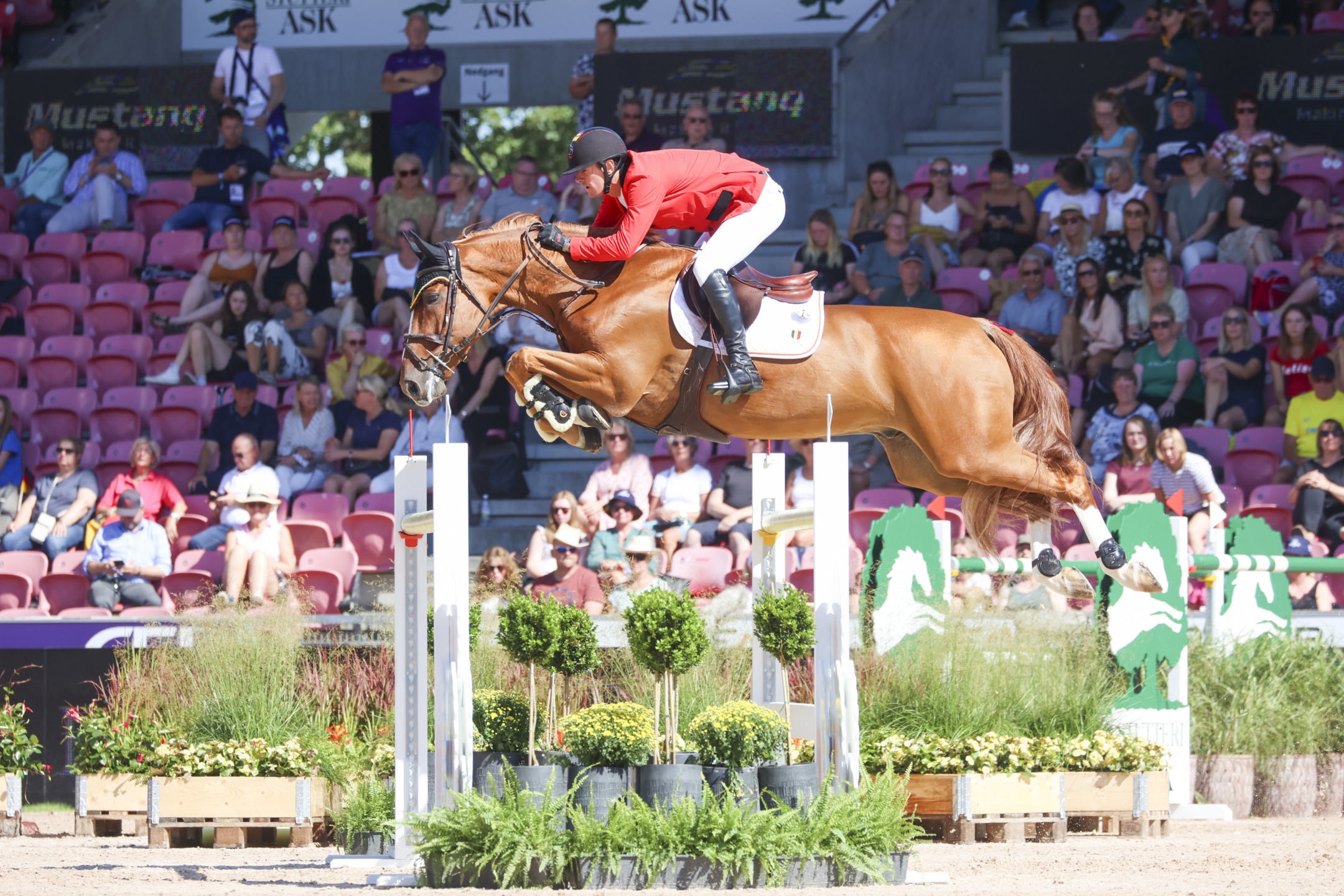 Intervista a Jos Verlooy: carriera, cavalli e prospettive future 3 Verlooy Igor HerningWC2022 SS3 9762.jpg