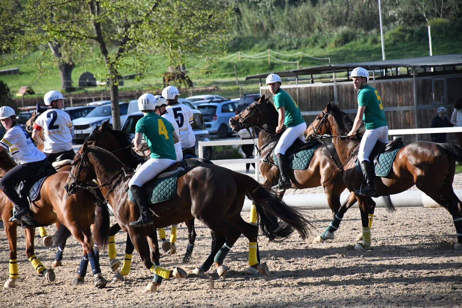 Il Centro Ippico Le Ginestre ospita il Campionato Italiano Horseball Senior Misto 2025 3 aff3b16a 3568 44e6 bc31 abbe6026ee3d