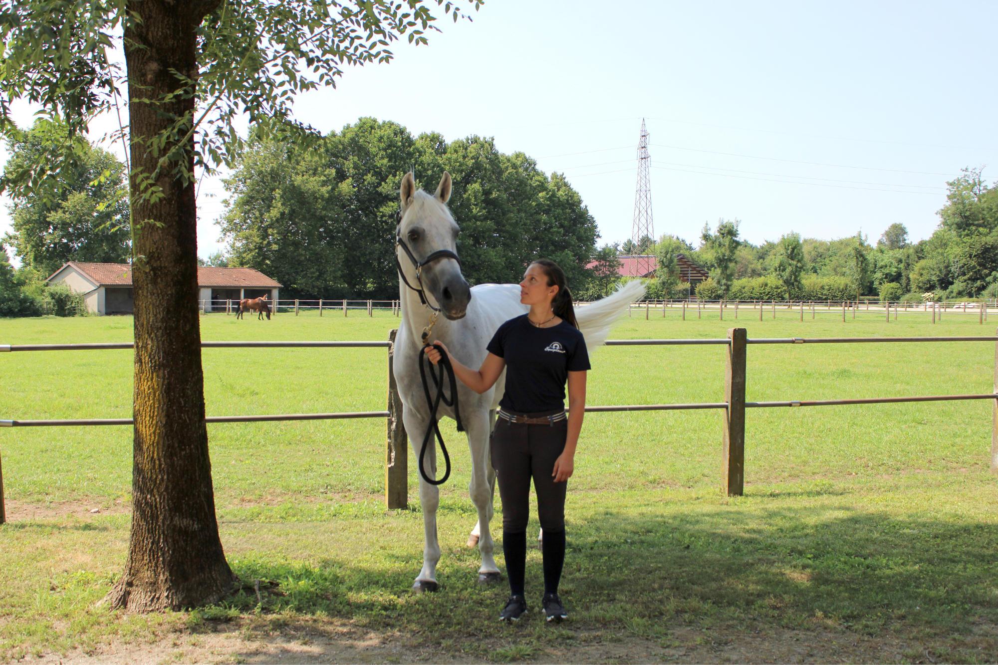 L’alimentazione dei giovani cavalli: quando i fabbisogni di crescita e sport si sovrappongono 1 Michol Del Signore e un giovane cavallo alimentato con mangimi Equiplanet