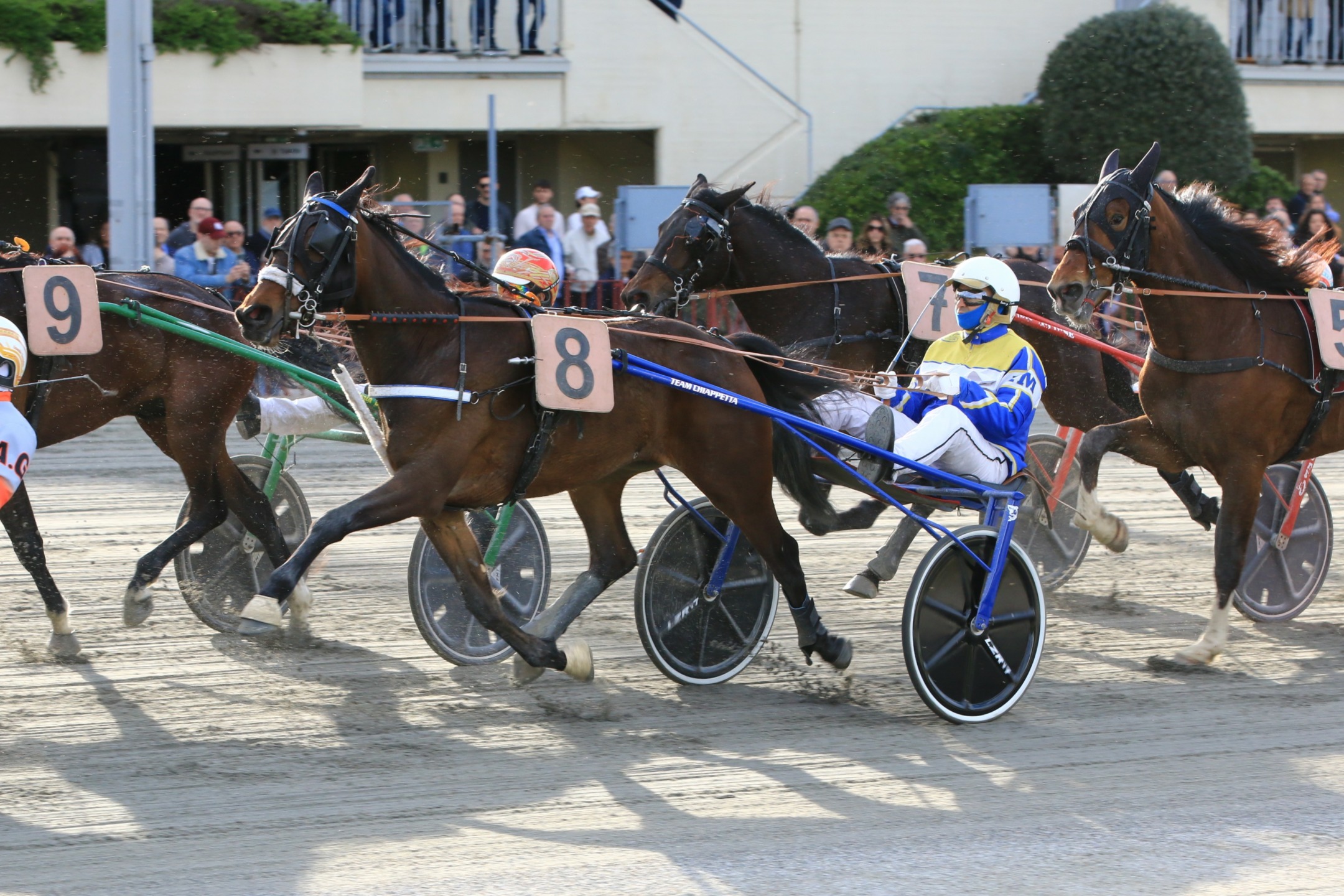 Giovedì 24 aprile, all’ippodromo di Bologna il Premio Alma e Renzo Maccaferri, in chiusura la TQQ 1 ippodromo Bologna