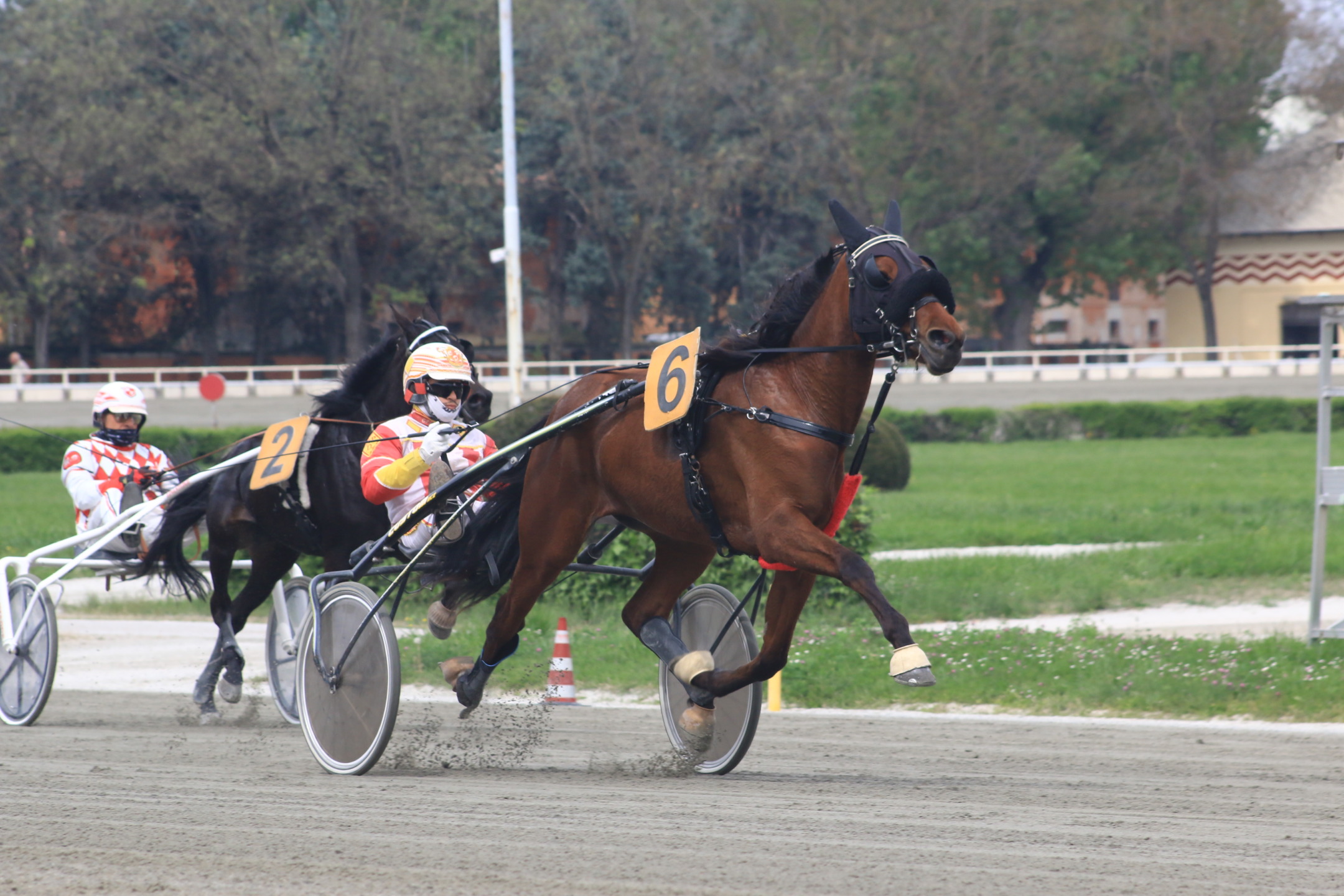 All’ippodromo di Bologna, giovedì 17 aprile: otto corse di qualità, Atik Dl atteso nel clou 1 Ippodromo Bologna Carmine Piscuoglio