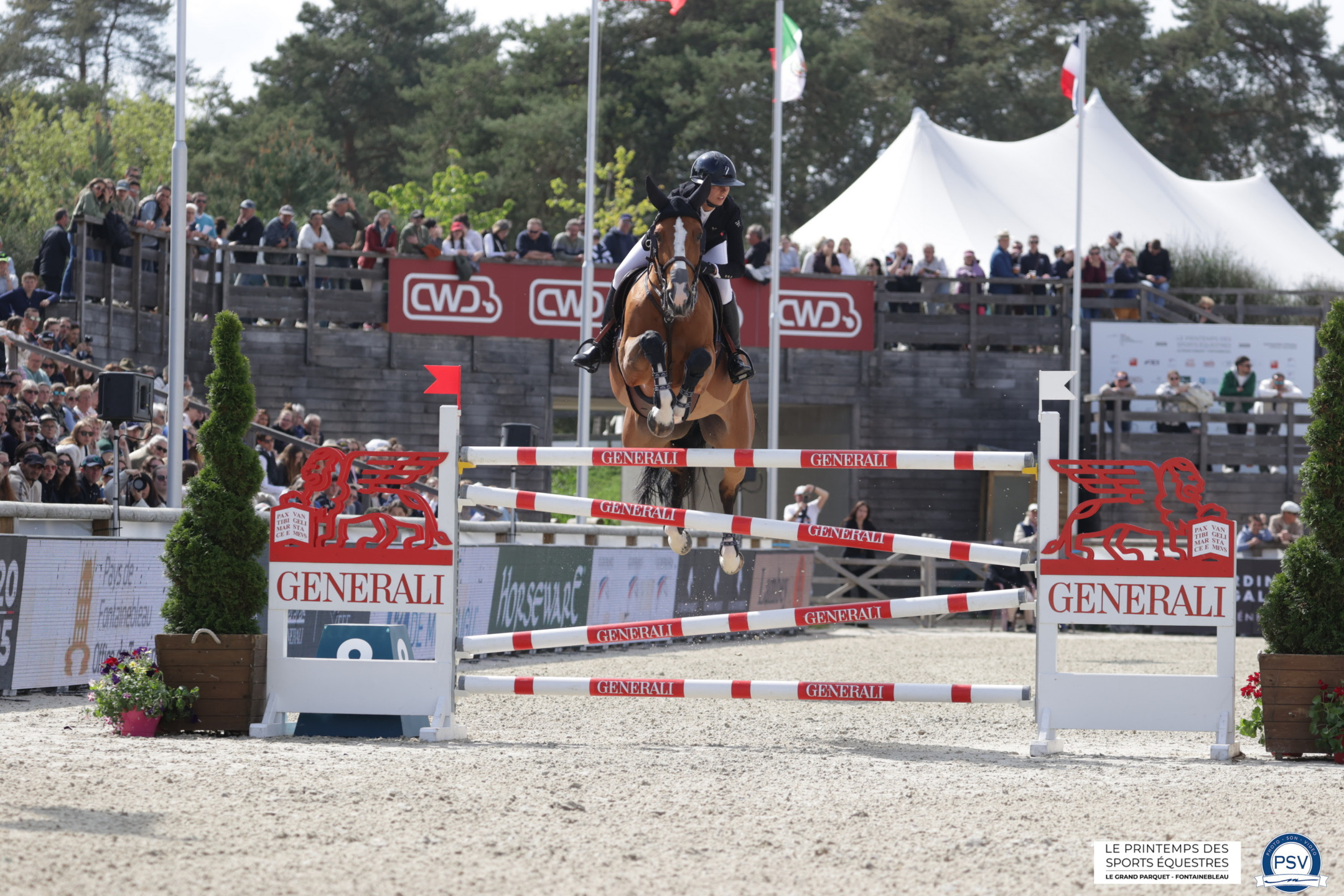 Le Printemps degli Sport Equestri, Nina Mallevay consacrata Campionessa di Francia Pro Élite. 1 LE PRINTEMPS degli Sport Equestri, DES SPORTS ÉQUESTRES Nina Mallevay