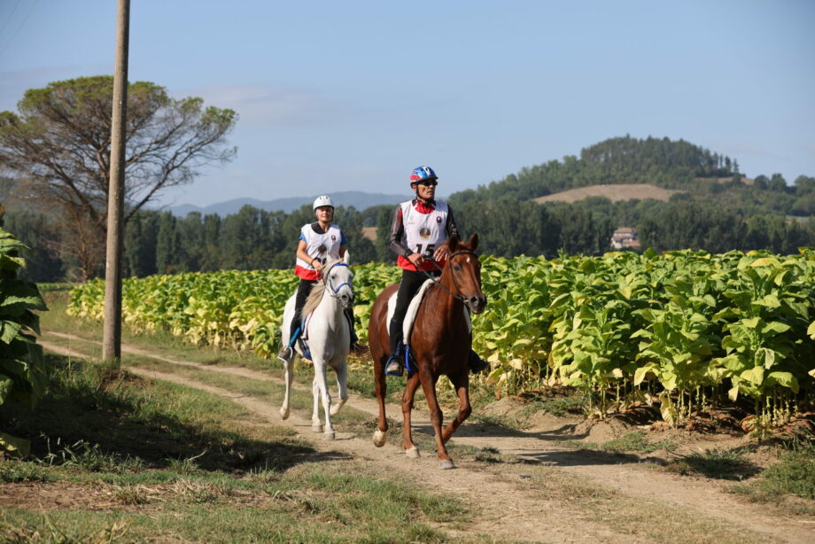 A Città di Castello, grande attesa per la tappa del circuito Fise e Coppa Italia di Endurance Equestre 2025. 3 0P5A5068
