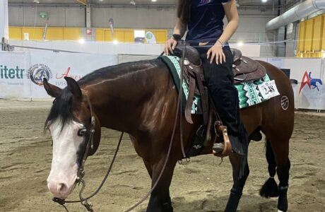 Il Salone del Cavallo Americano 2025: la capitale europea del reining e del western style torna a Cremona 1 16c3b01d 9f87 41d1 80d2 ef17775982b7