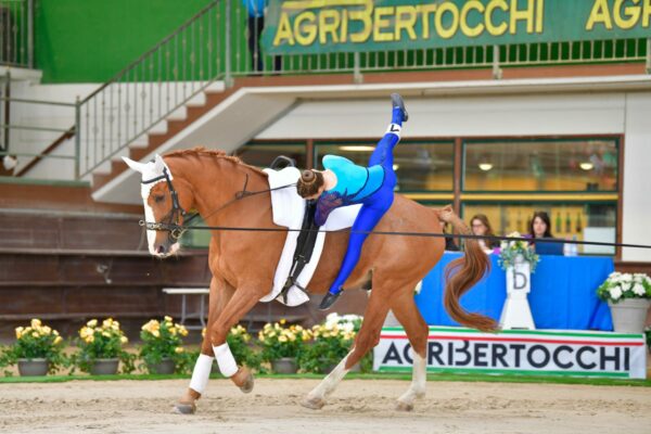 Coppa delle Regioni di Volteggio 2025: tutto pronto per la terza giornata alle Scuderie San Giorgio 32 2c07ac78 b081 4740 8c30 8076689c3015