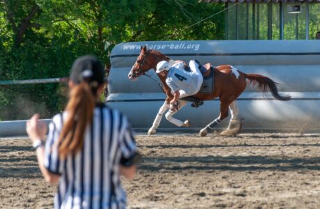 Horseball, adrenalina e spettacolo: ad Alessandria termina la seconda tappa del Campionato Italiano 2025 1 5fe55a6c 265c 42aa b018 223ee2953192