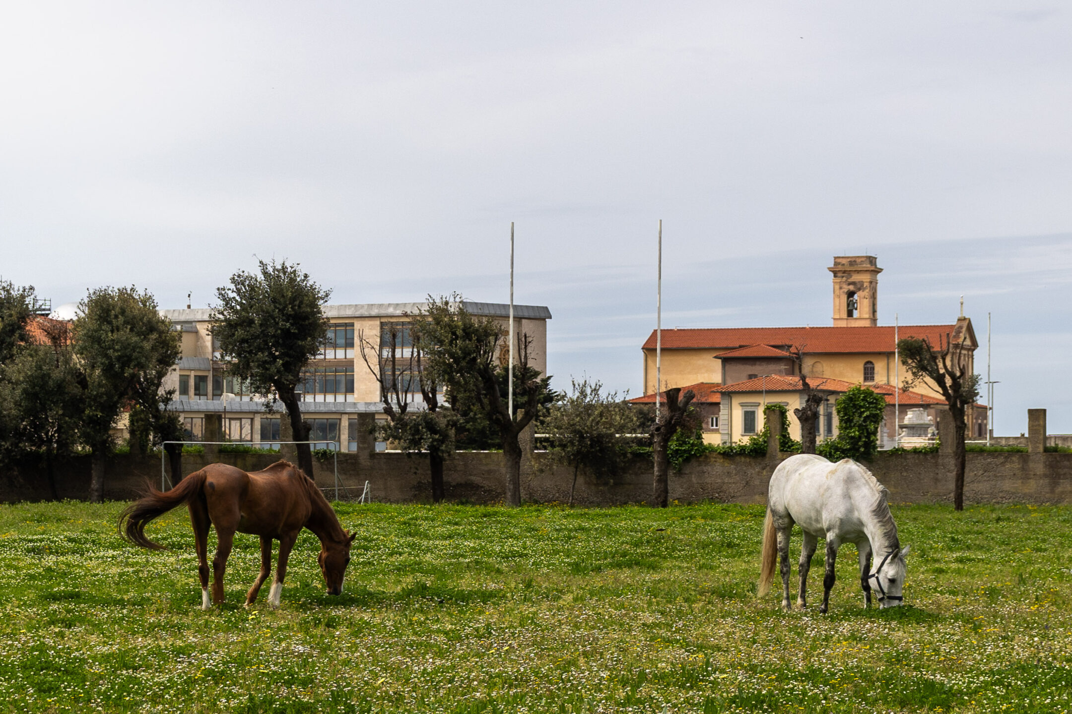 Accademia Navale Zitria e Clarissa