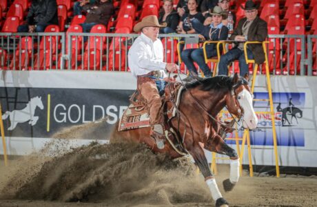 Quattro chiacchiere con Alessandro Meconi in attesa del World Reining Championship 2025 1 Alessandro Meconi
