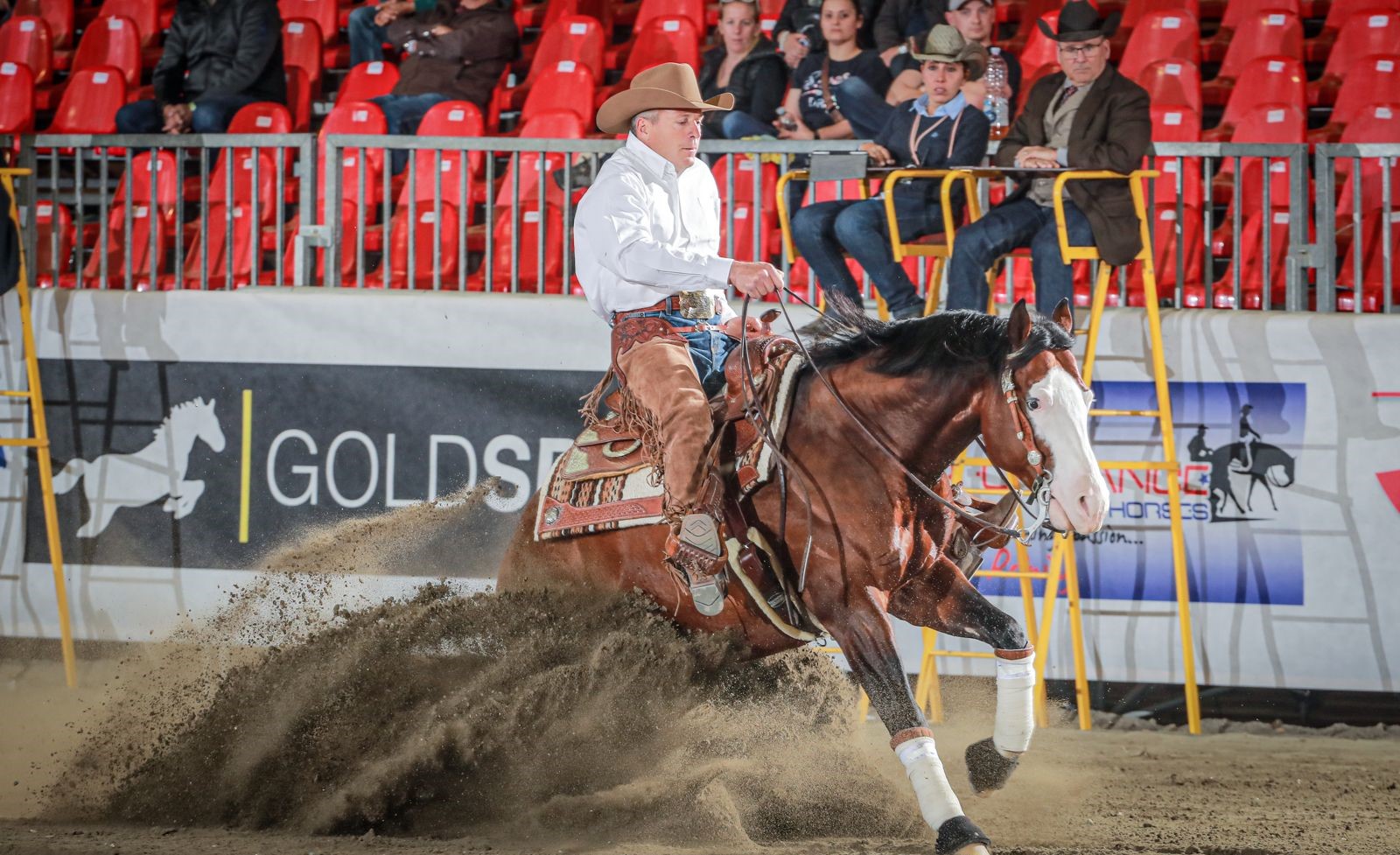 Quattro chiacchiere con Alessandro Meconi in attesa del World Reining Championship 2025 1 Alessandro Meconi