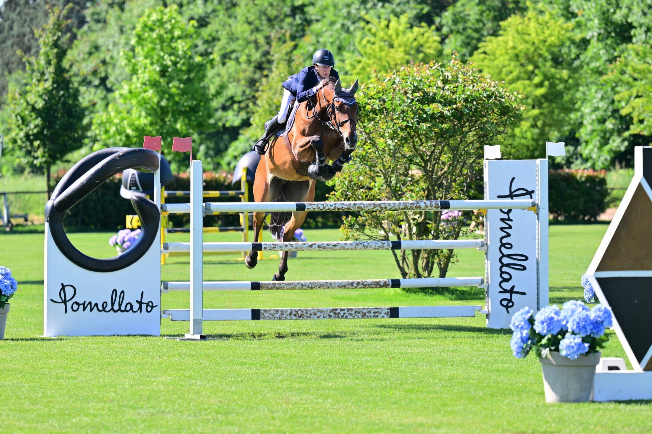 Gorla Minore saluta il terzo ed ultimo CSI4*: un gran finale tra sport e passione 2 BURRI Peter 5KW 0832 DIRETTA