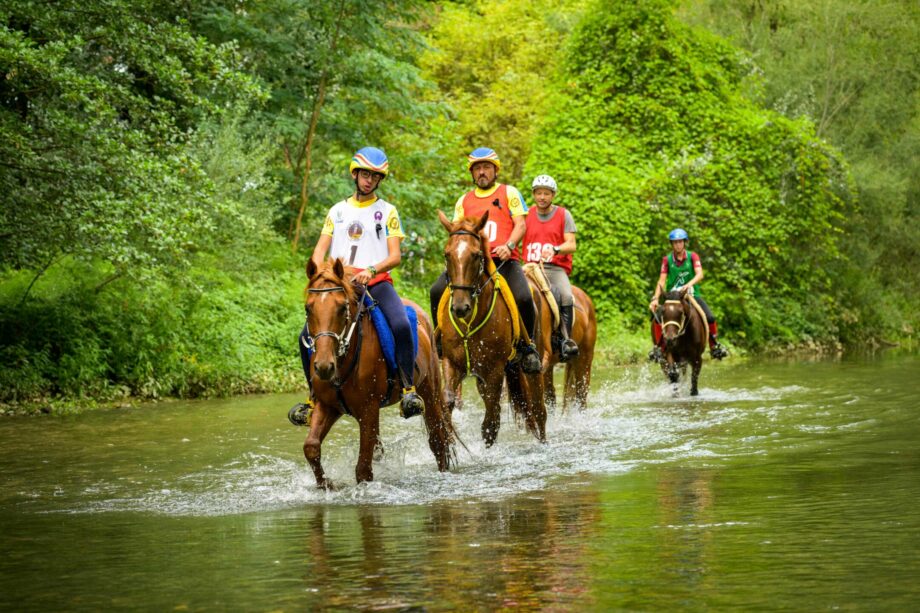 A Città di Castello, grande attesa per la tappa del circuito Fise e Coppa Italia di Endurance Equestre 2025. 2 DSC 8343